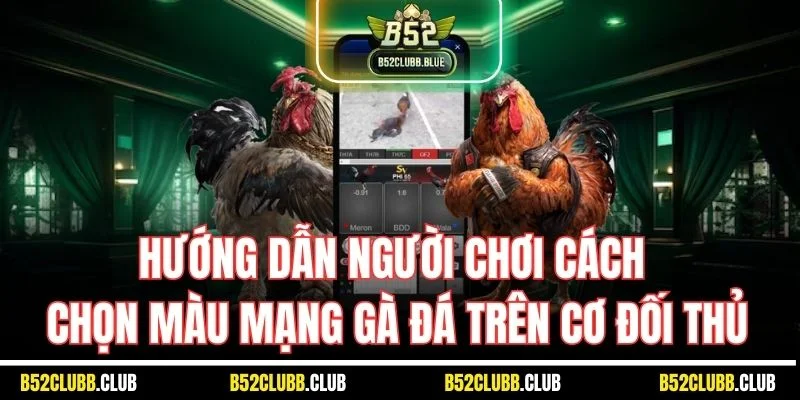 Hướng dẫn người chơi cách chọn màu mạng gà đá trên cơ đối thủ
