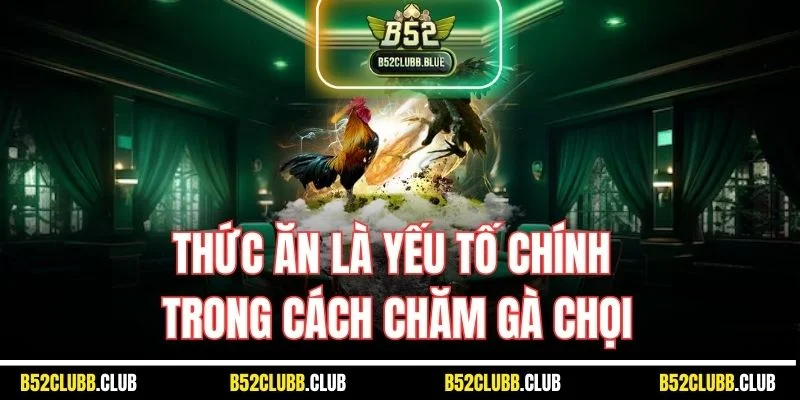 Thức ăn là yếu tố chính trong cách chăm gà chọi